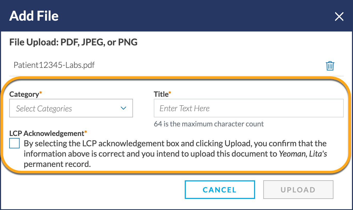 PtChart-Files-RequiredFields.png