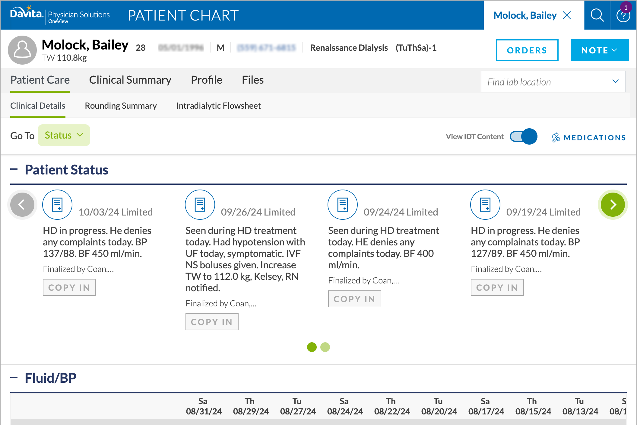 PatientChart-example.png
