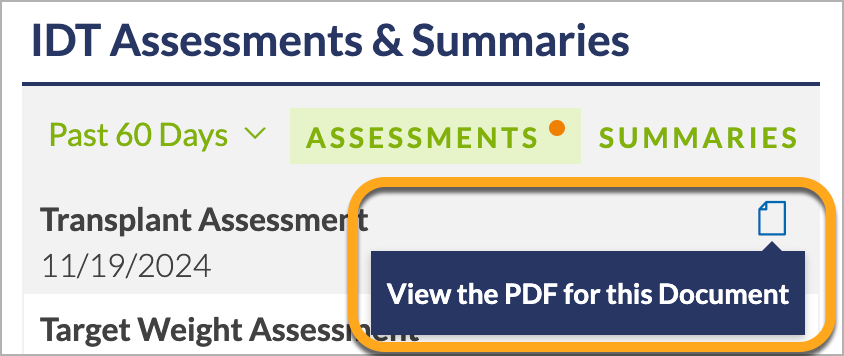 CS-IDT-ViewPDF.png