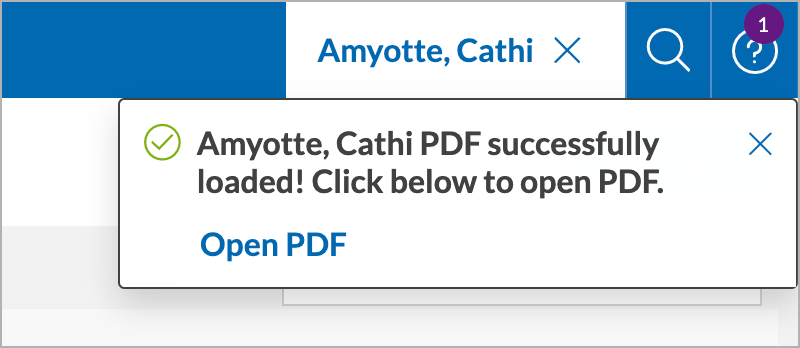 CS-PatientSummary-Success.png