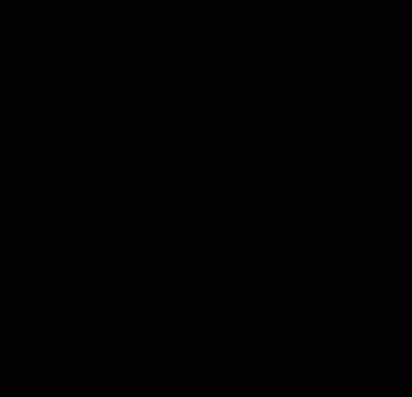 Snippets.gif