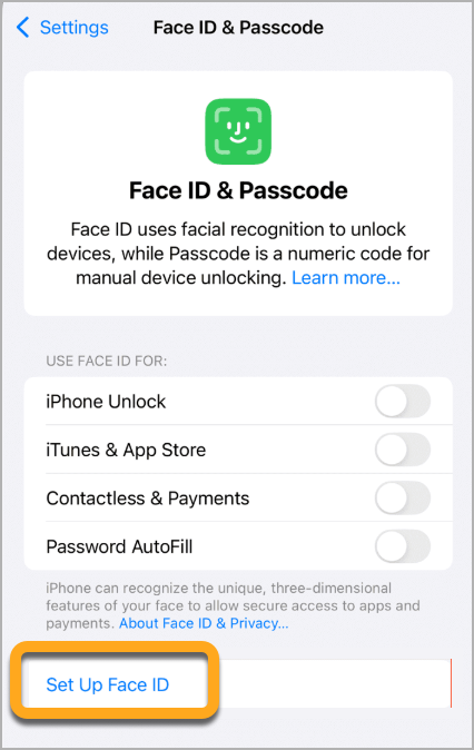 Settings-FaceID-Setup.png